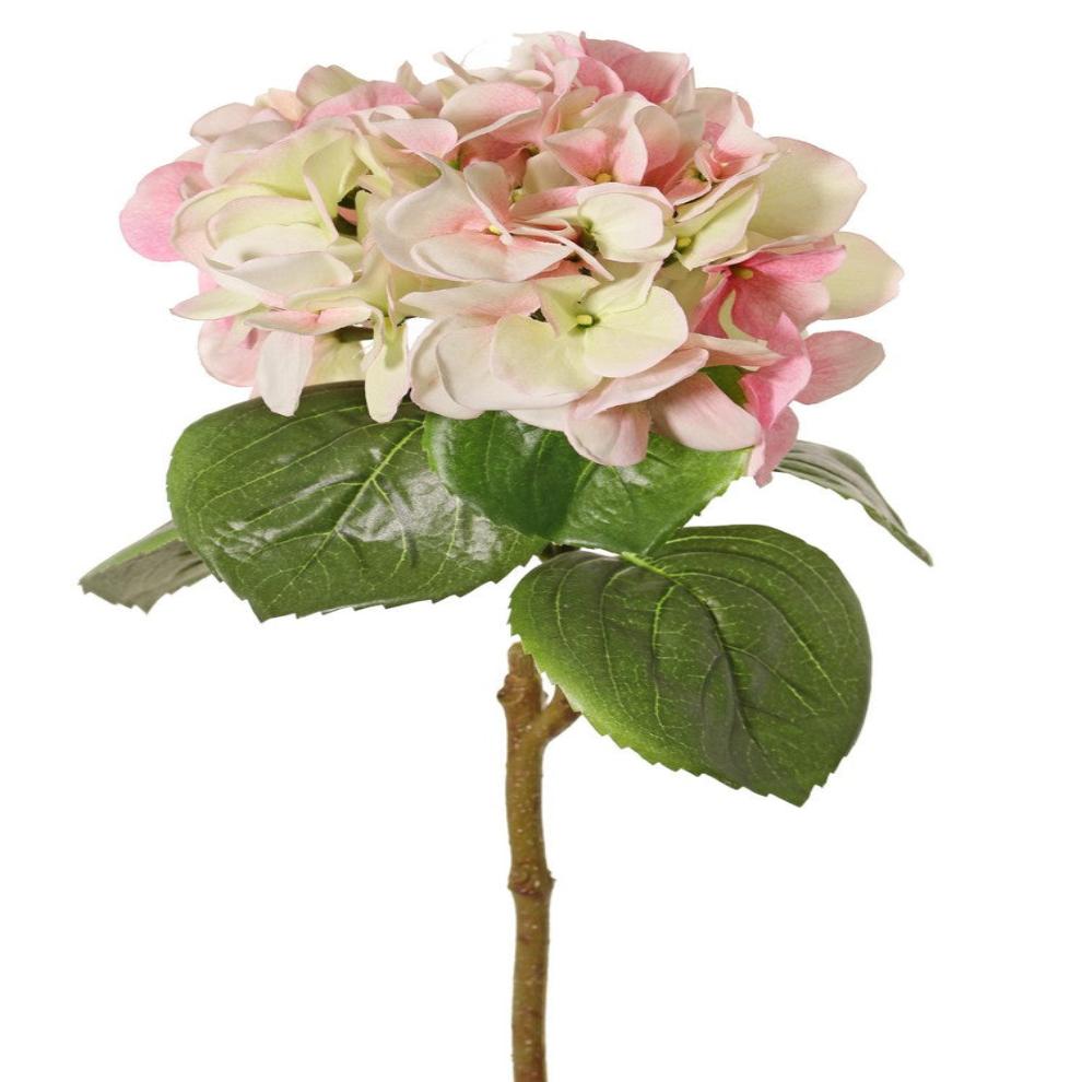 Blush Pink Hydrangea