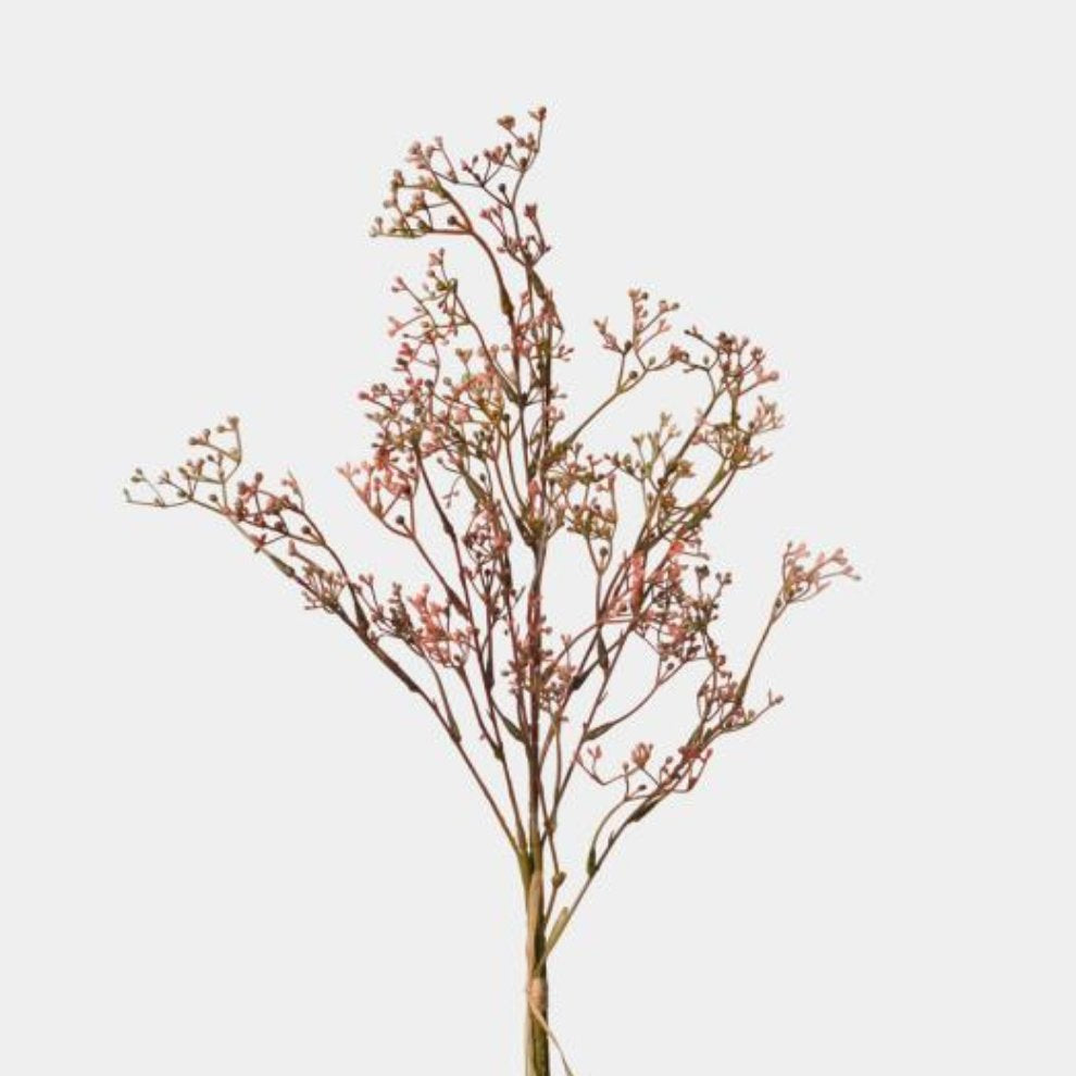 Muted Pink Wax Flowers