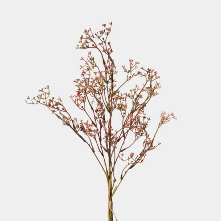 Muted Pink Wax Flowers