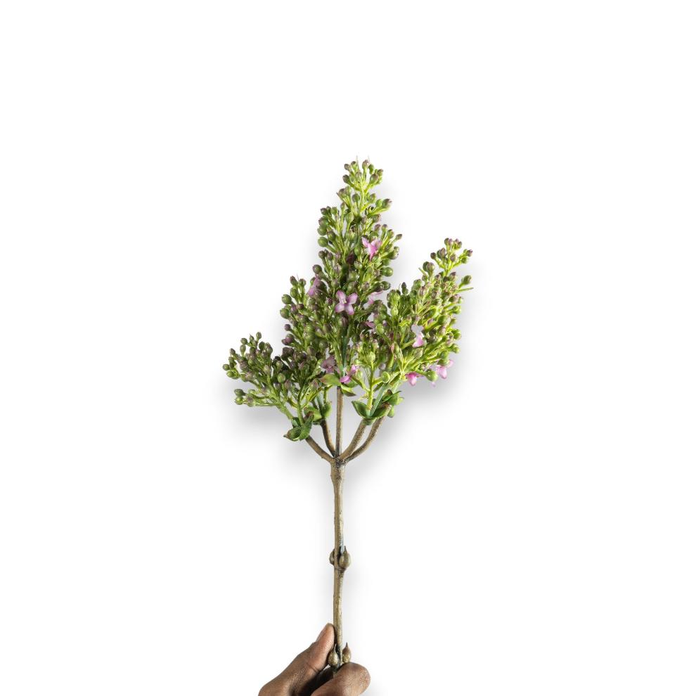Mauve Heather Sprigs