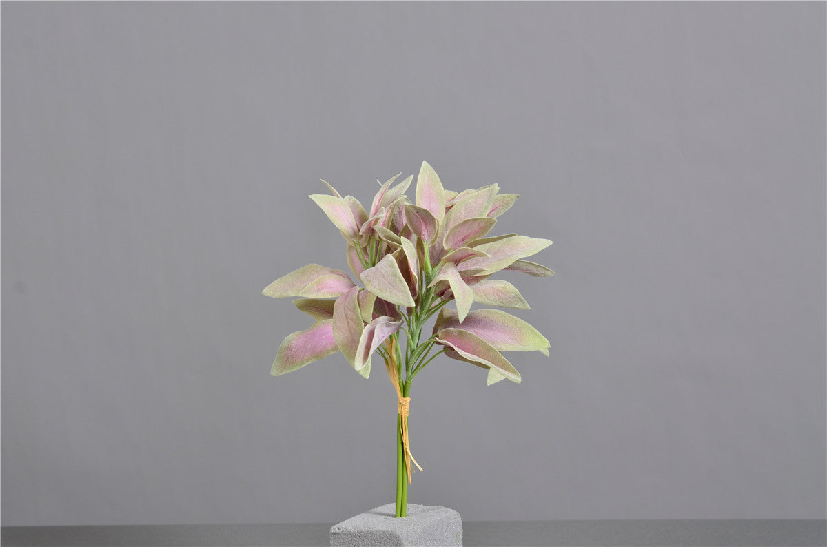 Blush Pink Eucalyptus