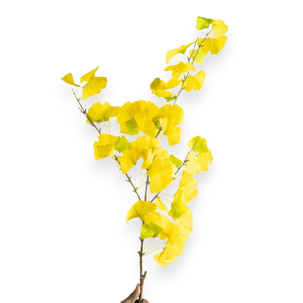 Golden Yellow Ginkgo
