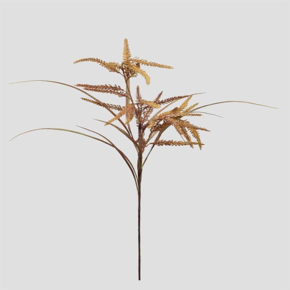 Bronze Spider Grass