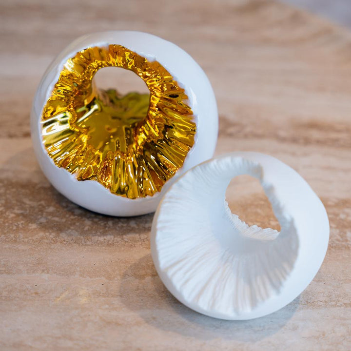 Lunar Halo Vase set