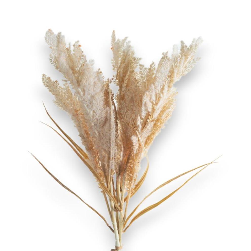 Champagne Beige Pampas Grass