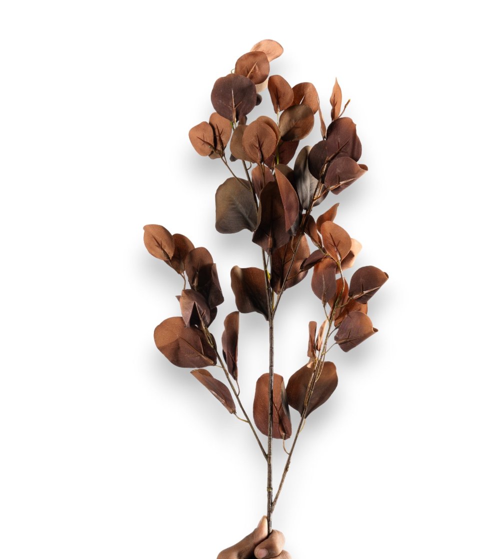 Rust Brown Eucalyptus