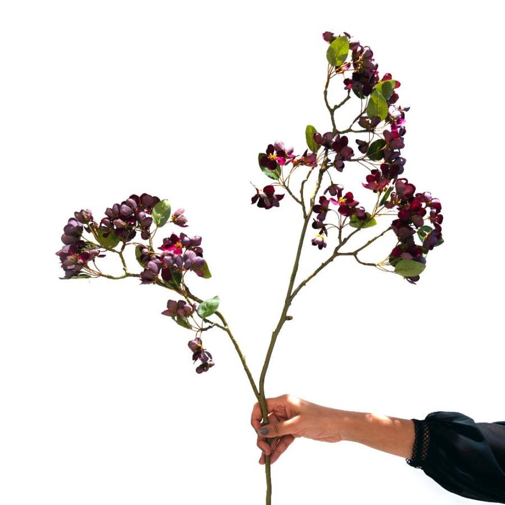 Burgundy Red Plum Blossom