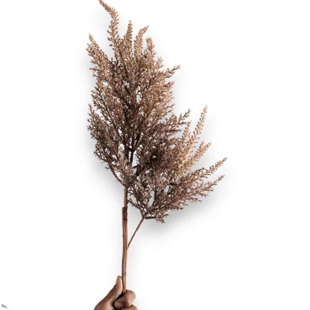 Deep Plum Feather Grass