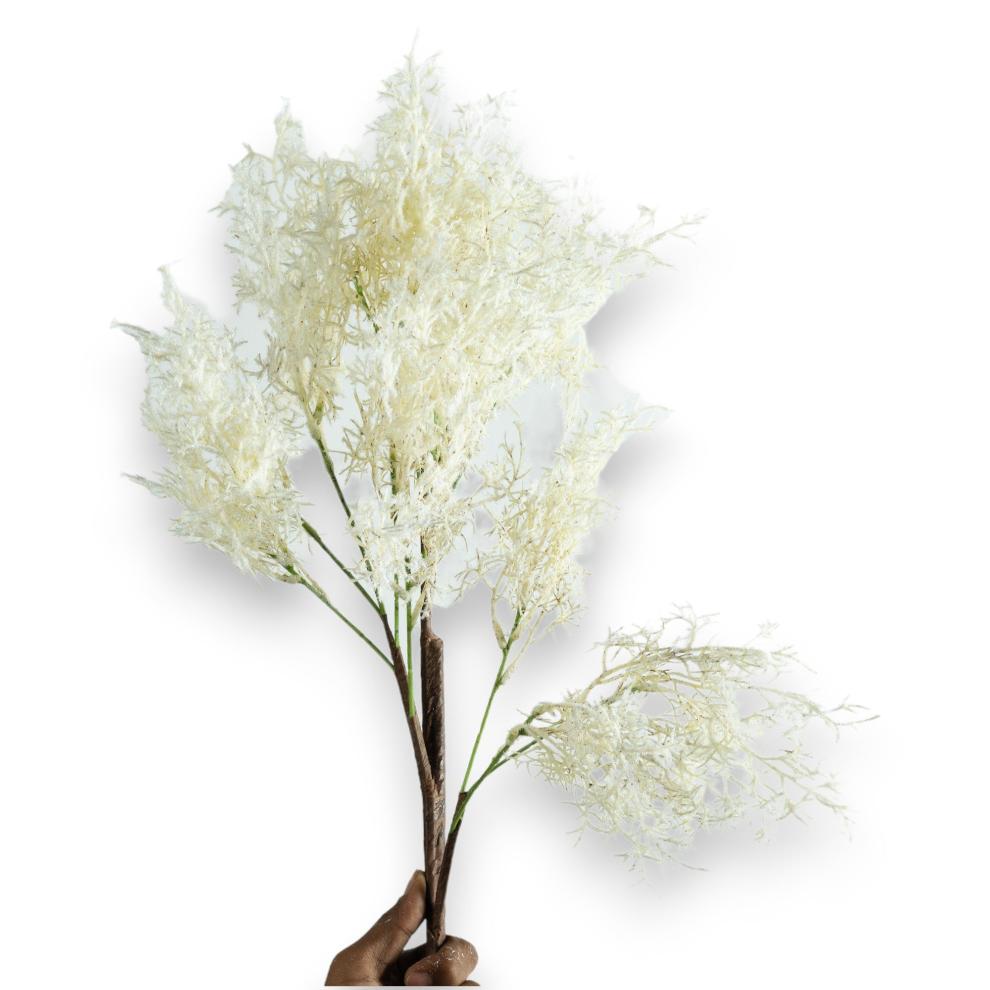 Soft White Fern