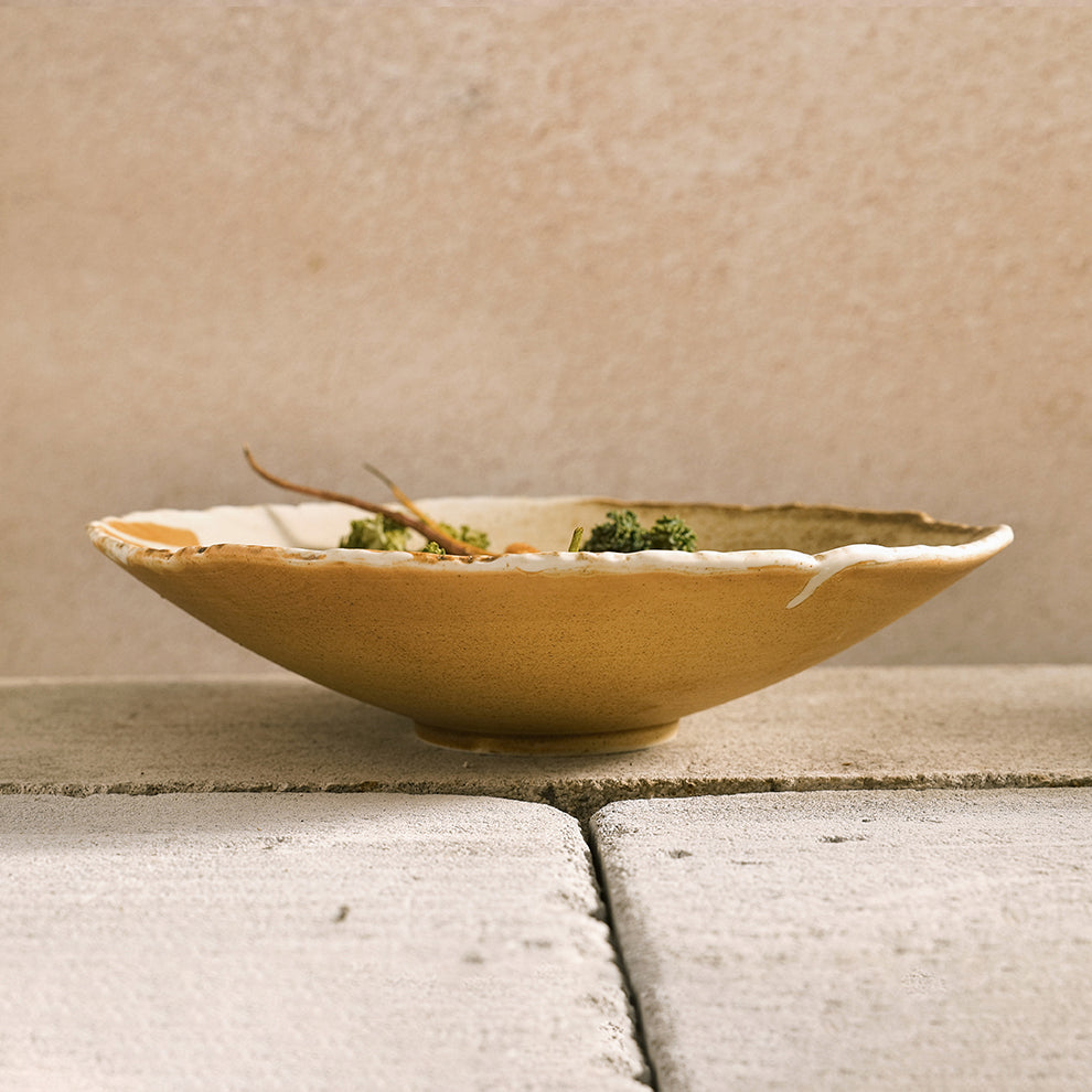 Harvest Collection - Shallow Bowl