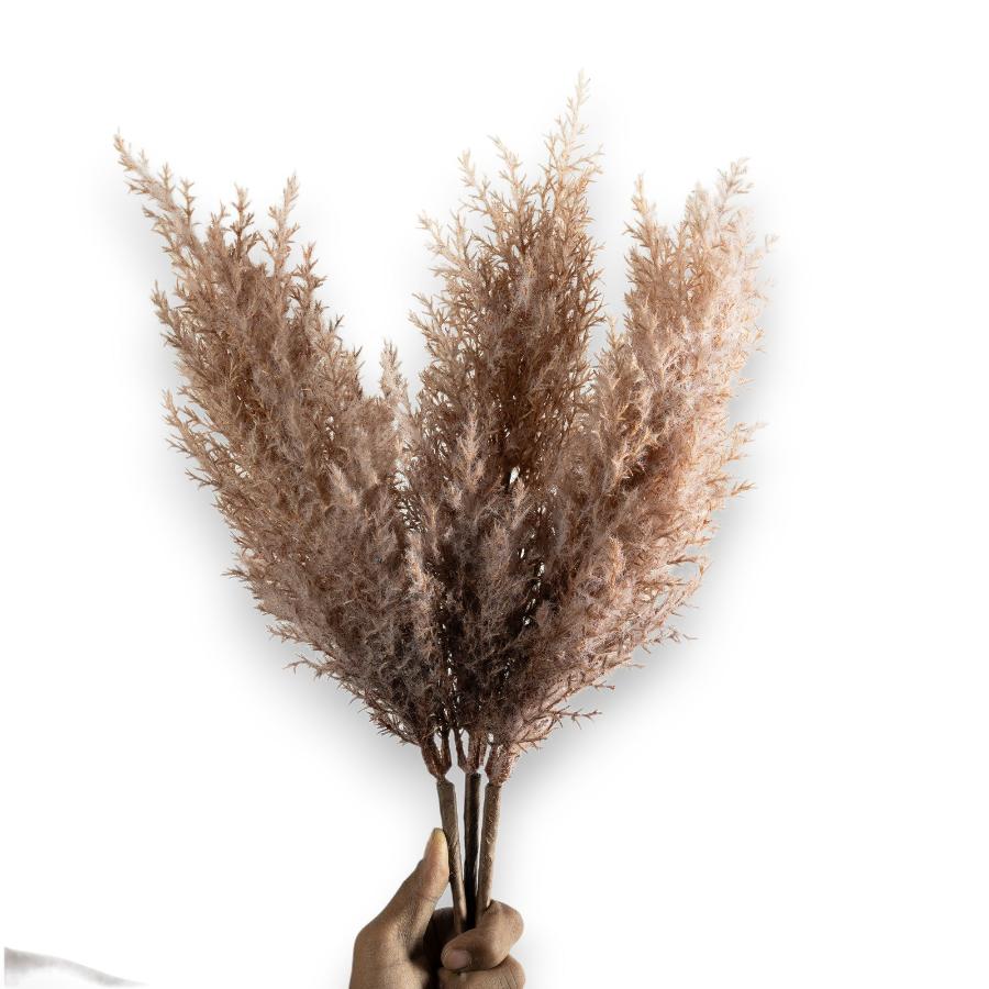 Blush Pink Pampas