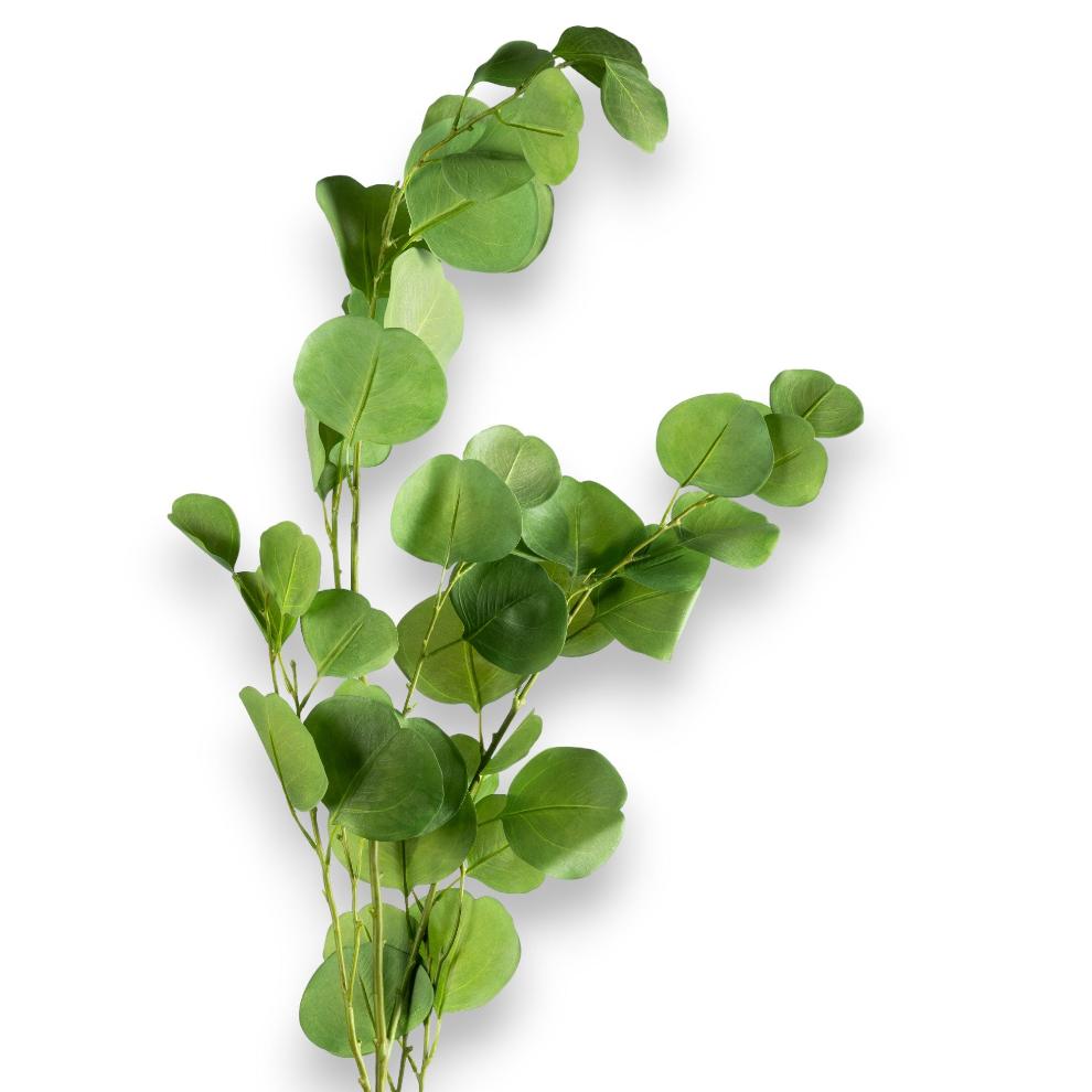 Emerald Green Eucalyptus