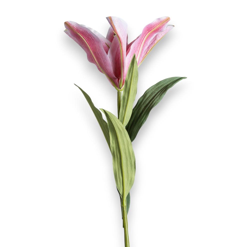 Pink Lily Stem