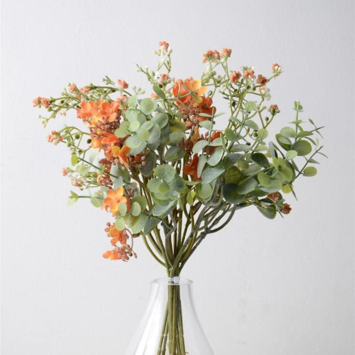 Tangerine Orange Acacia
