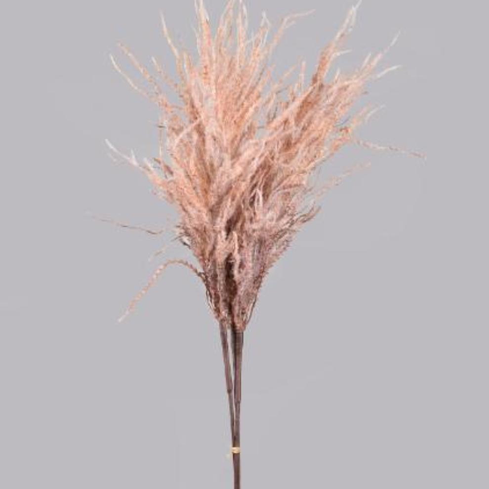 Creamy Beige Pampas Grass