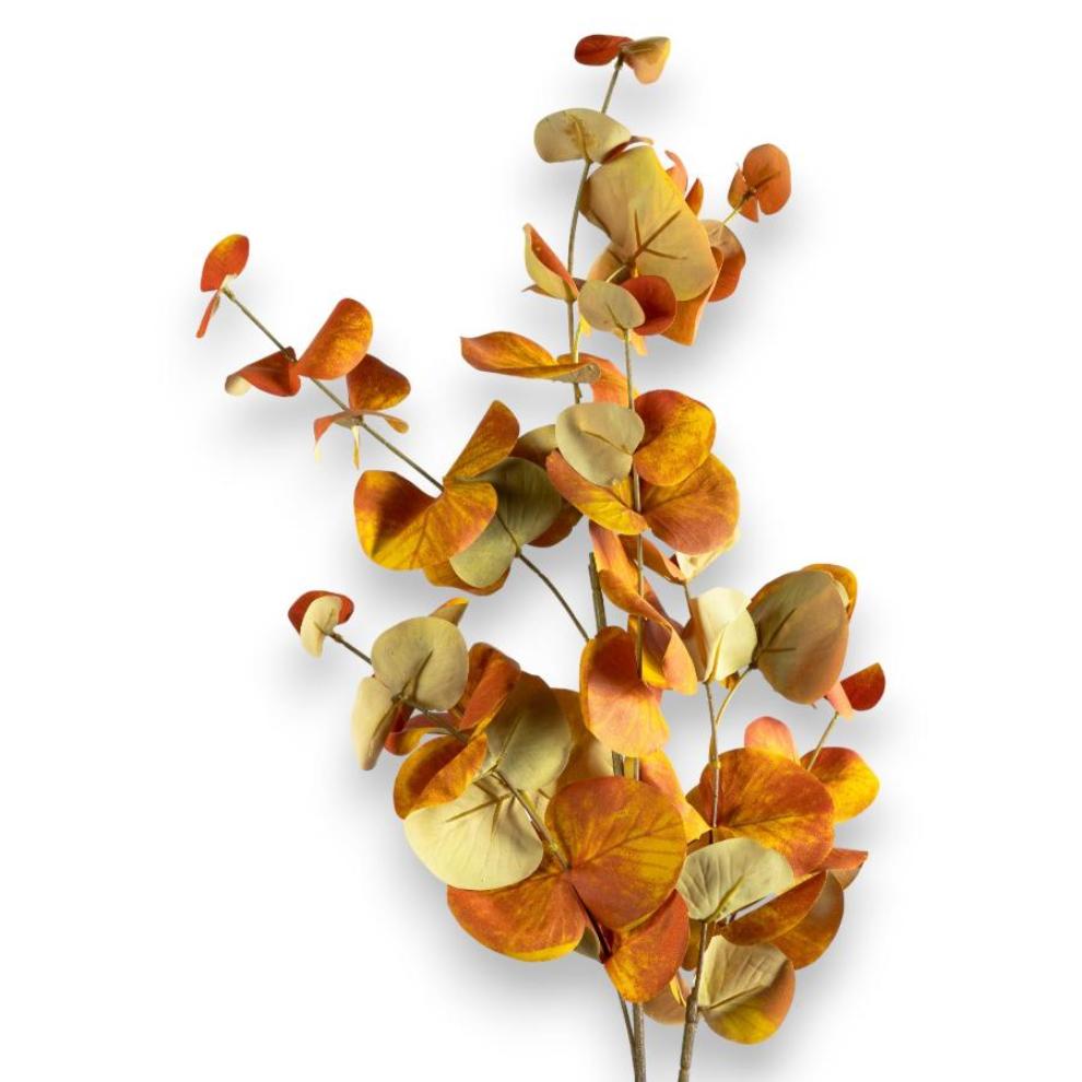 Burnt Orange Eucalyptus