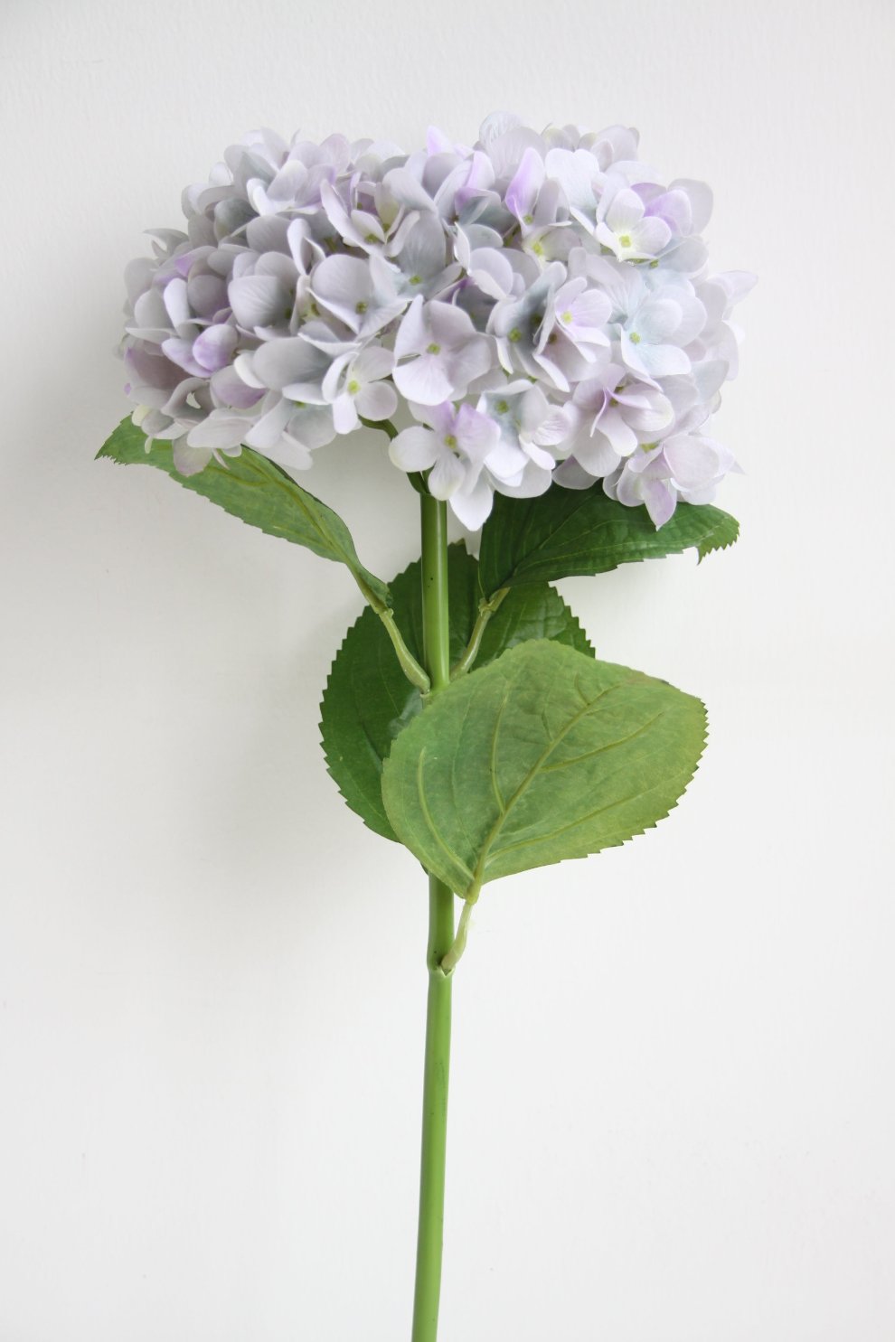 Soft Lavender Hydrangea