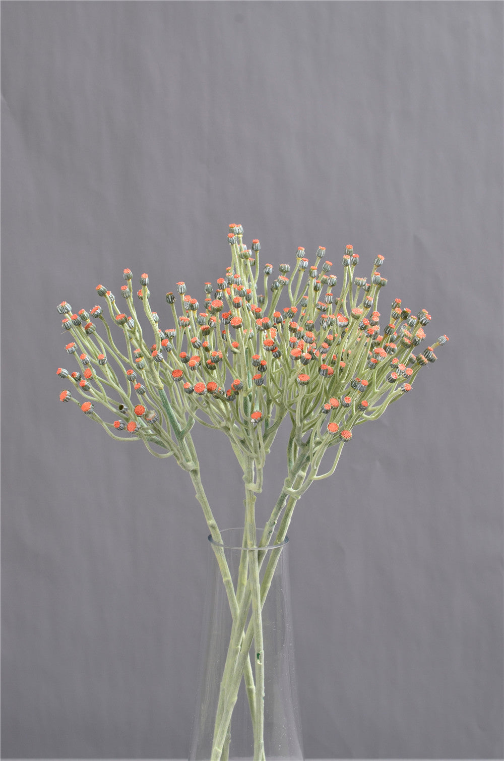 Blush Peach Dill Flowers
