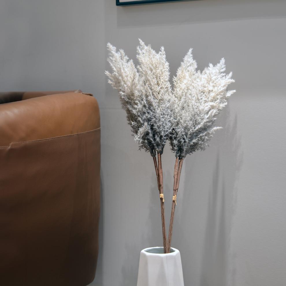 Frosted Blue Pampas Grass