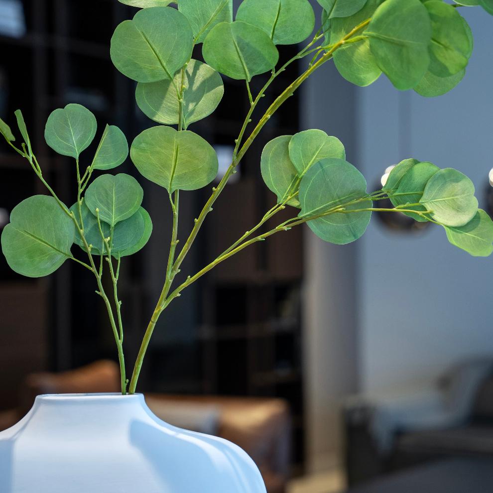 Emerald Green Eucalyptus