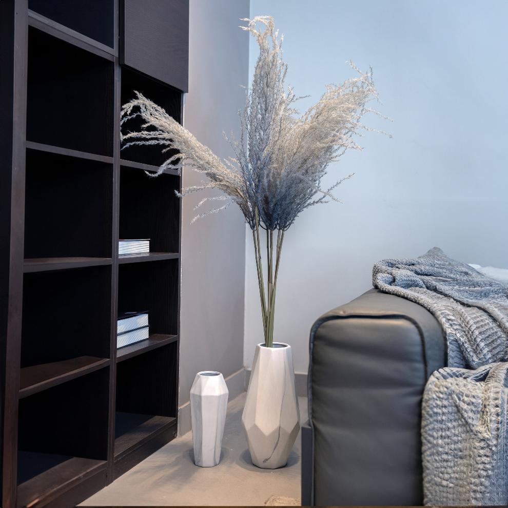 Silver Pampas Grass