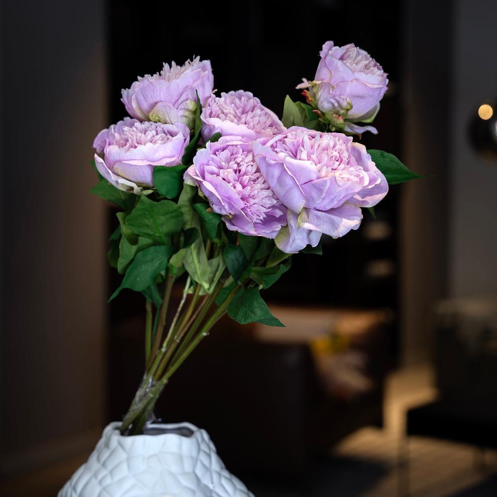 Lilac Peony