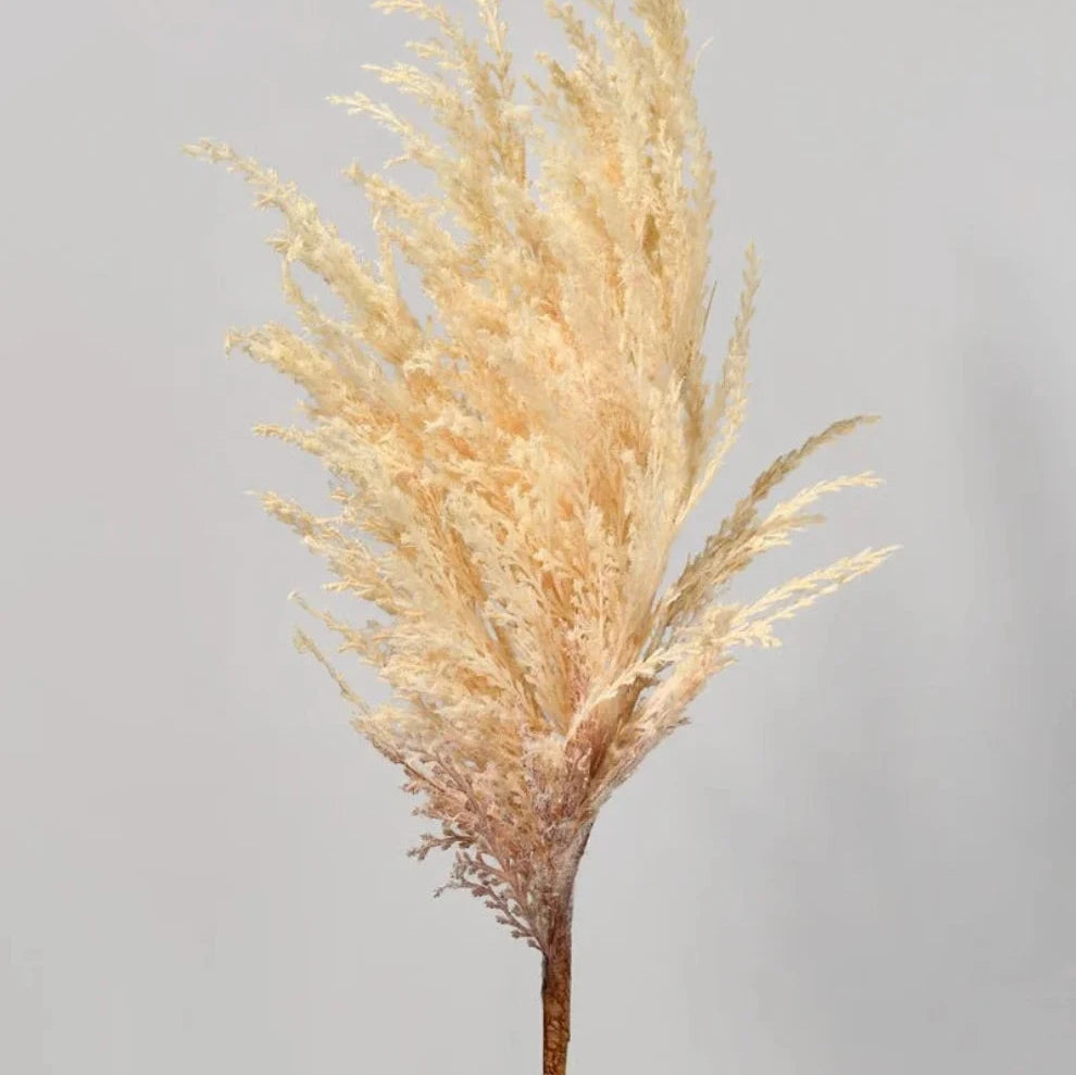 Creamy Beige Pampas Grass