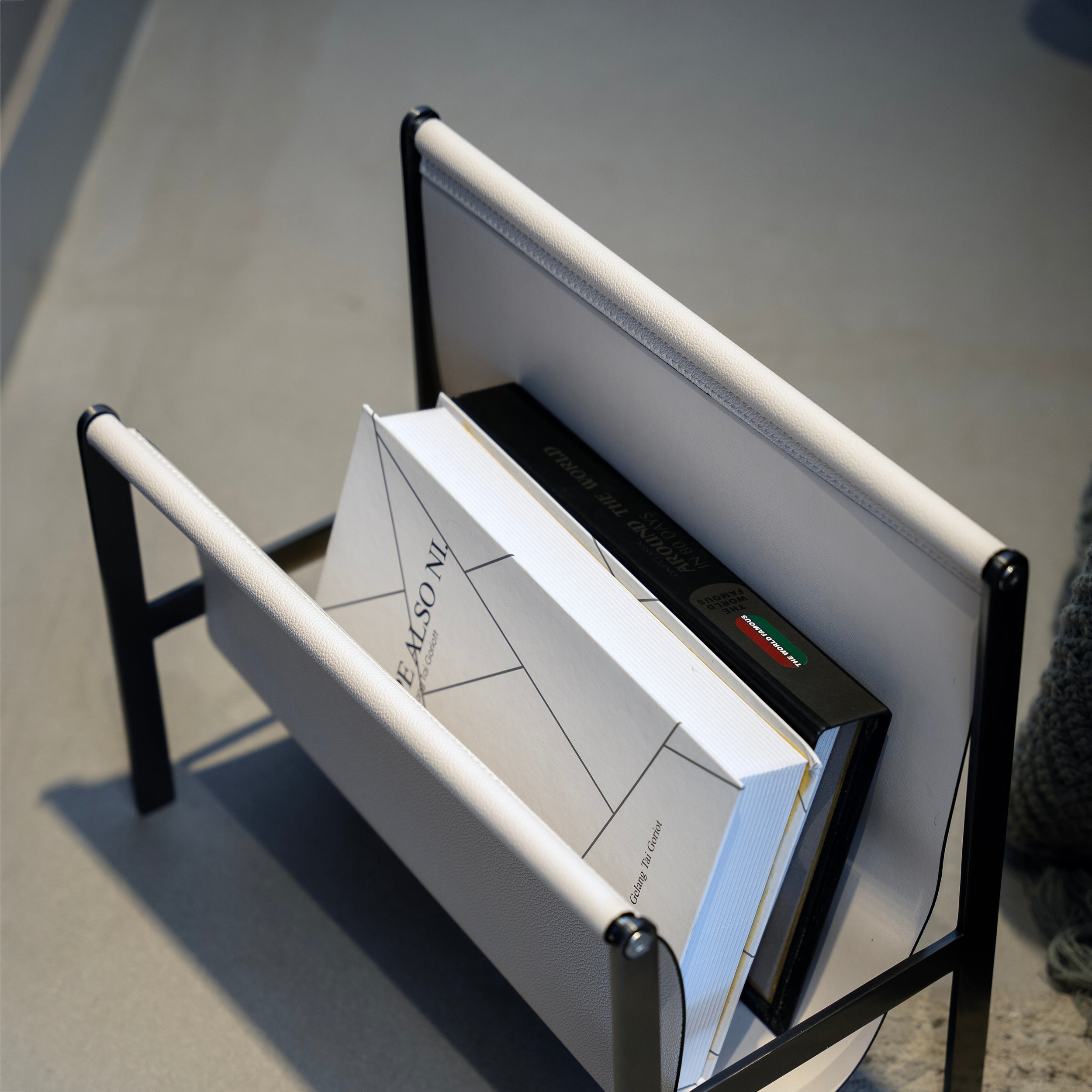 Contemporary Magazine Organizer