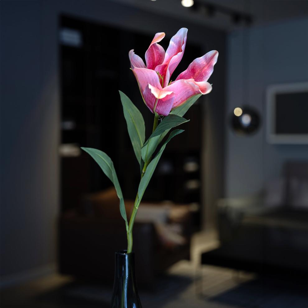 Pink Lily Stem