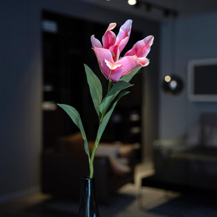 Pink Lily Stem