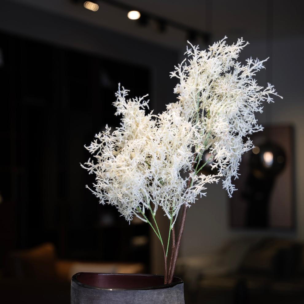 Soft White Fern