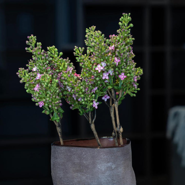 Mauve Heather Sprigs