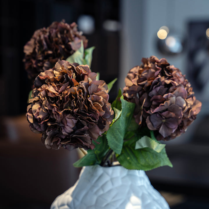 Burgundy Hydrangea