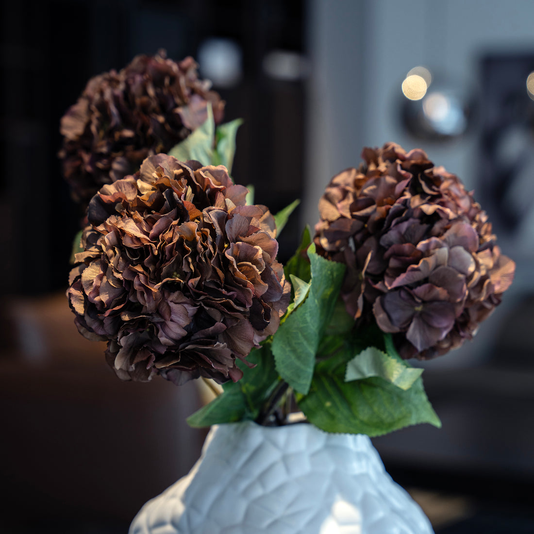 Burgundy Hydrangea