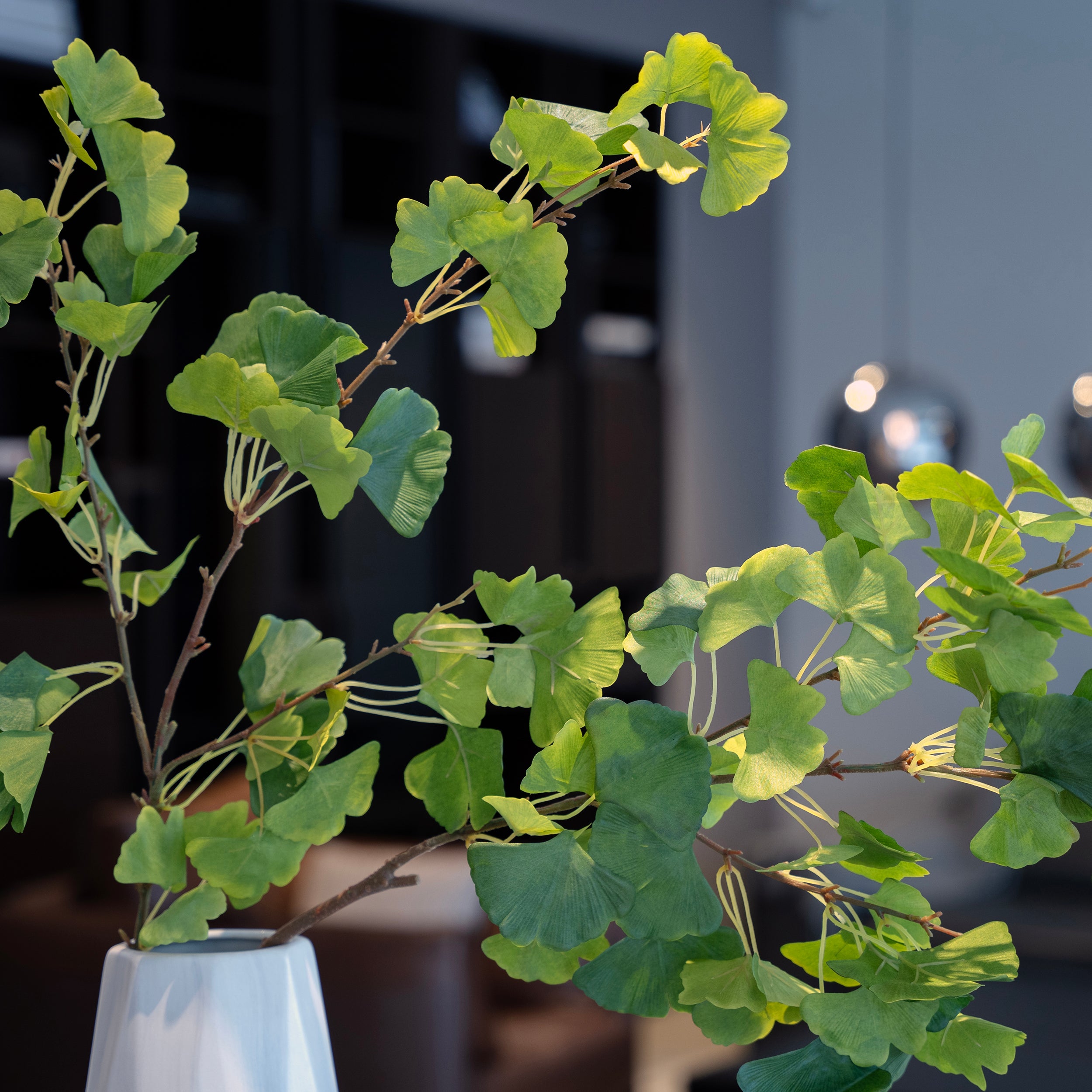 Variegated Green Maple