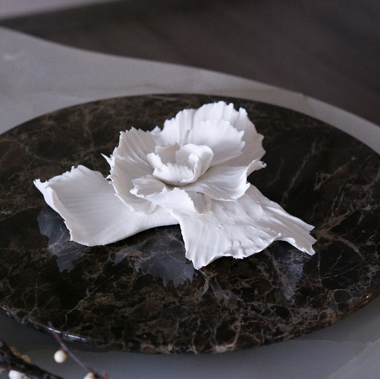 Sea Shell Bloom
