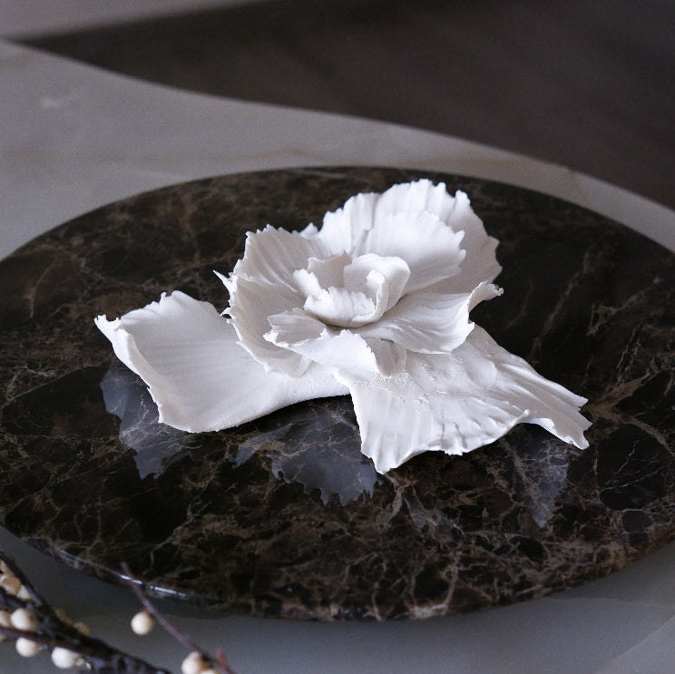 Sea Shell Bloom