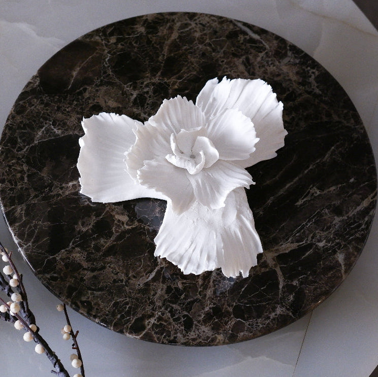 Sea Shell Bloom