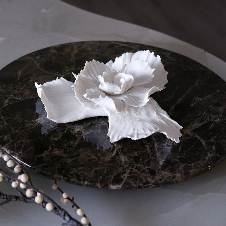Sea Shell Bloom