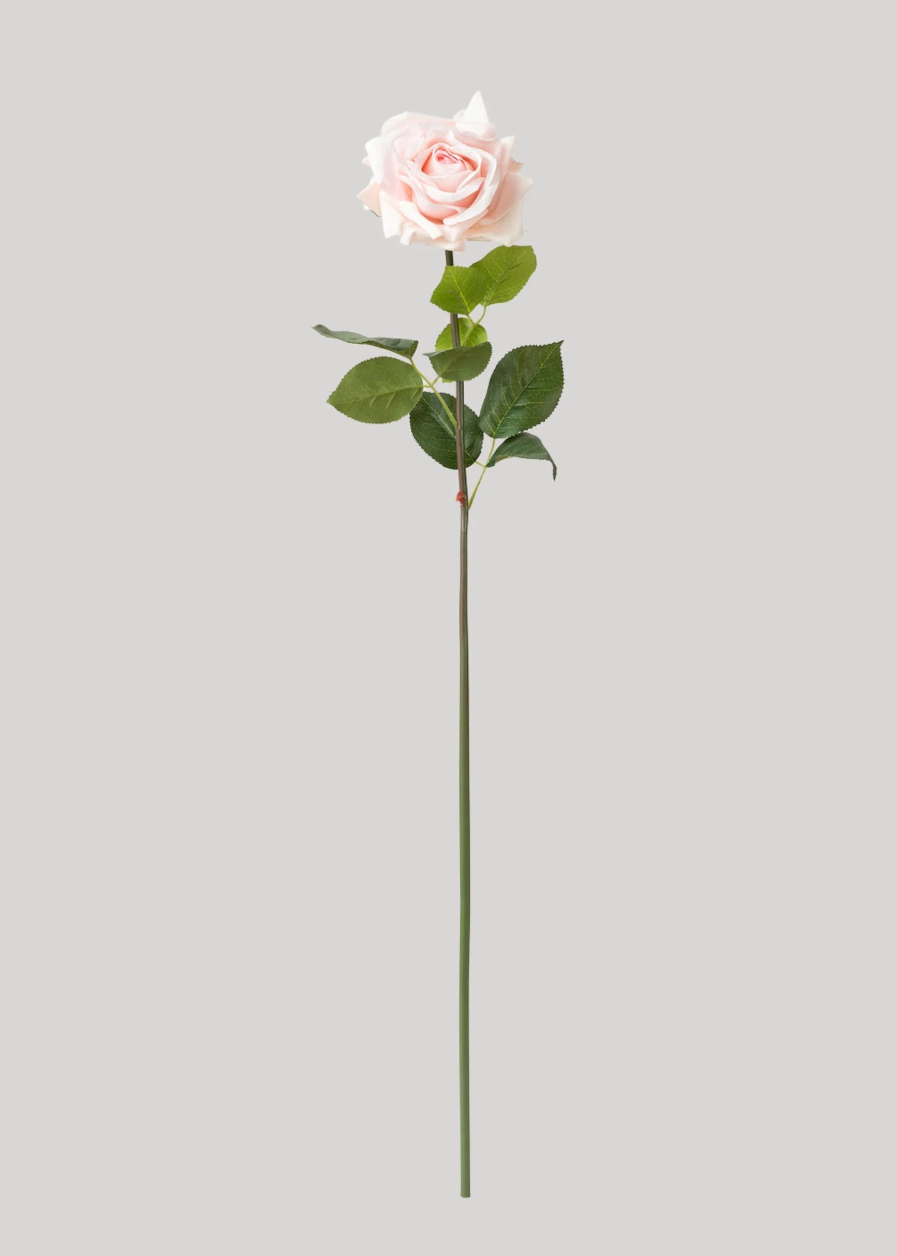 Petal Pink Rose Spray Single
