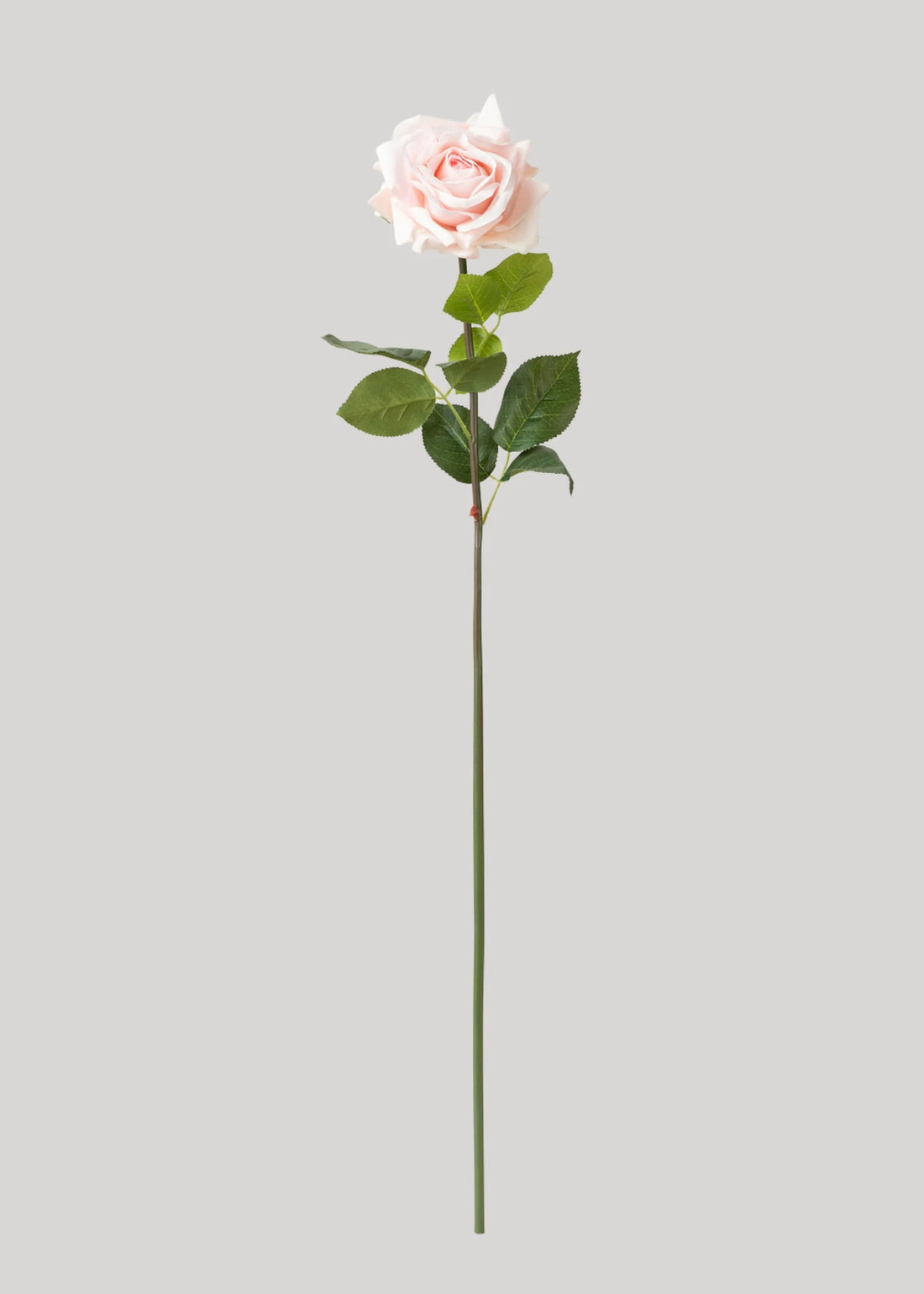 Petal Pink Rose Spray Single