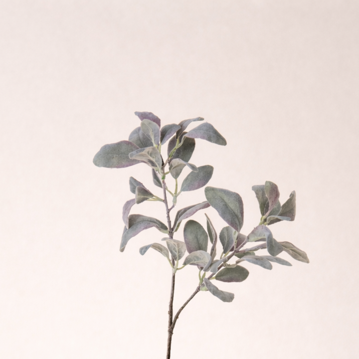 Silver Sage Leave