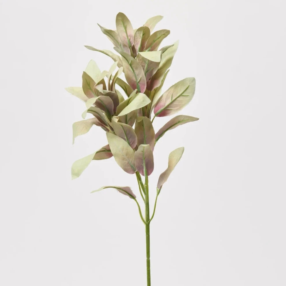 Blush Pink Eucalyptus