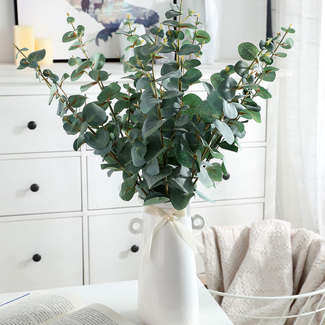 Silver Dollar Eucalyptus