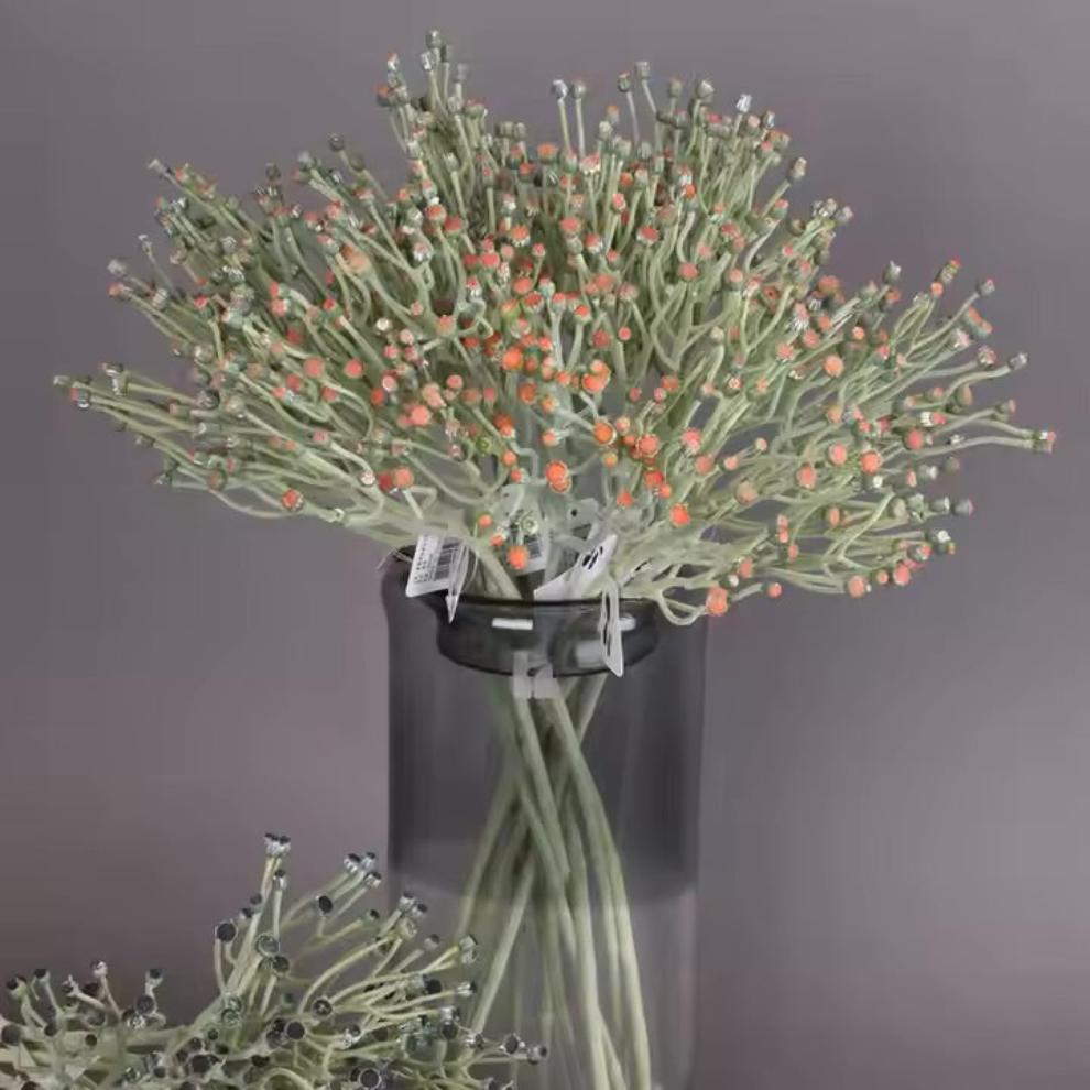 Blush Peach Dill Flowers