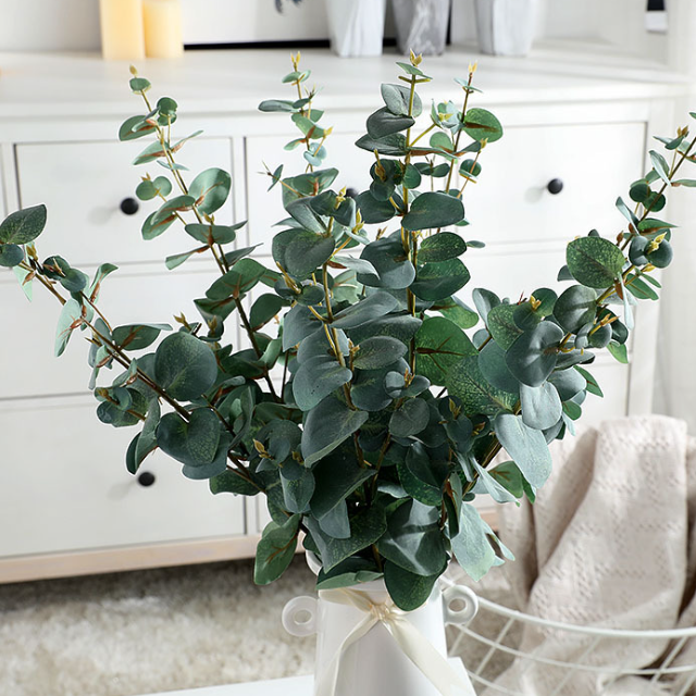 Silver Dollar Eucalyptus