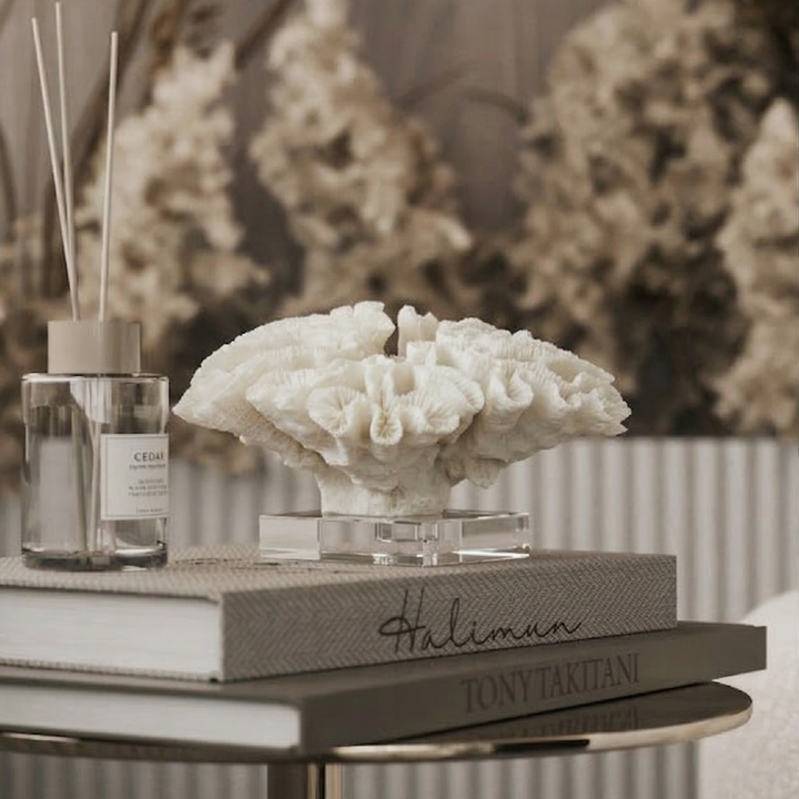 Ivory Coral Ceramic Sculpture