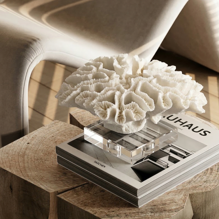 Ivory Coral Ceramic Sculpture