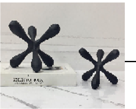 Black Glided Jack
