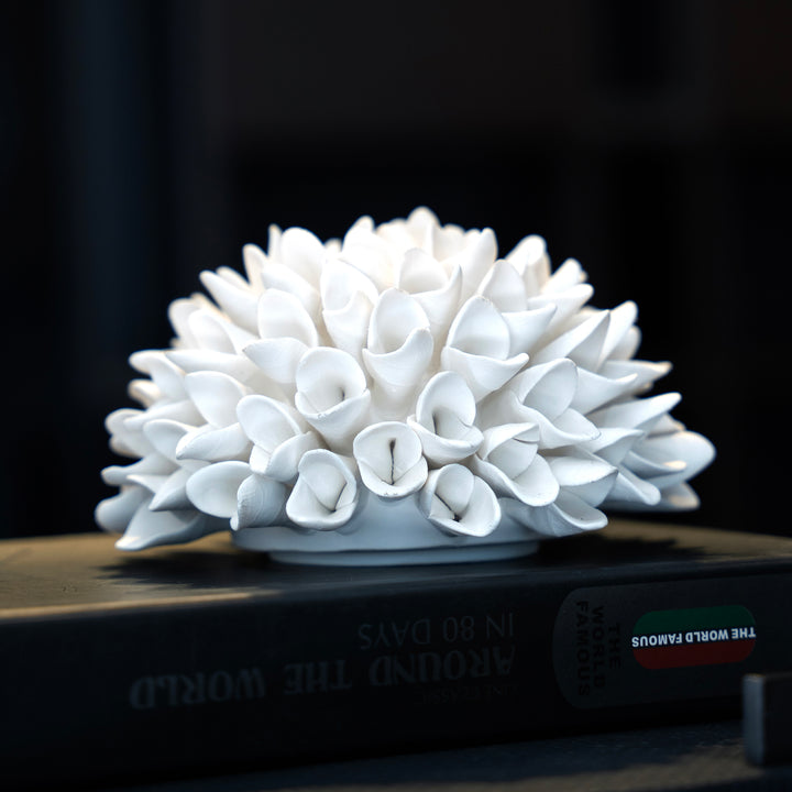 Ocean Bloom